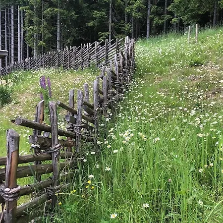 Penzhuette Appartement Bad Sankt Leonhard im Lavanttal